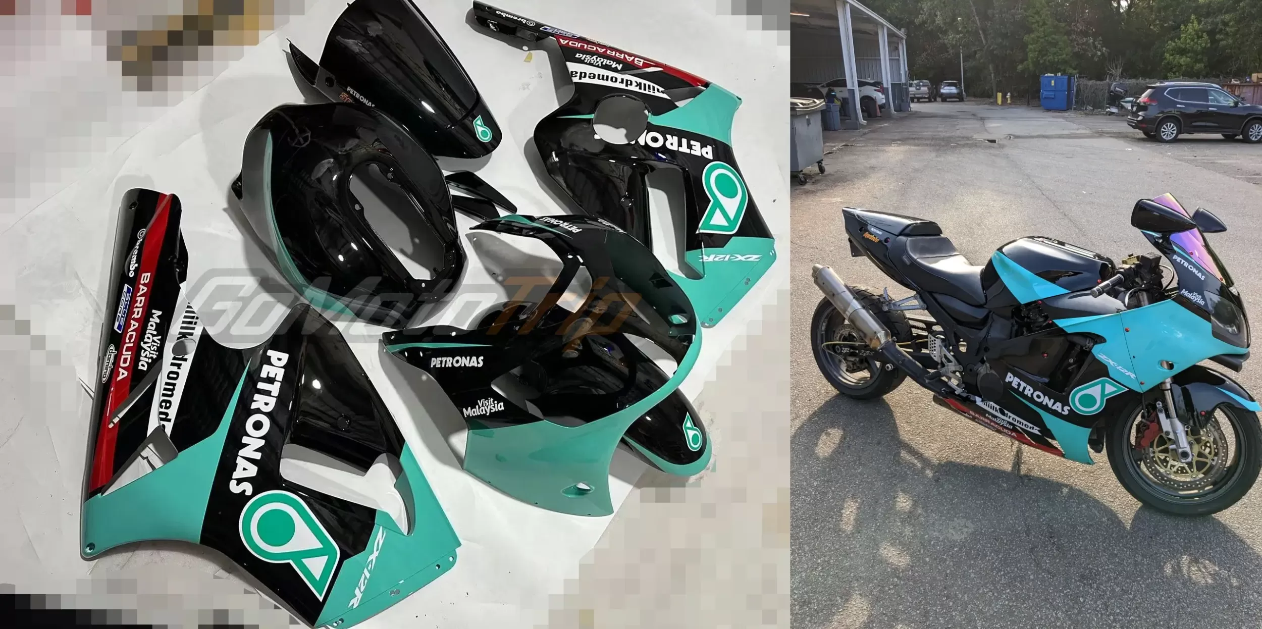 Rider Review 145238 Daniel 2000 2001 Kawasaki Ninja Zx 12r Petronas Srt Fairing