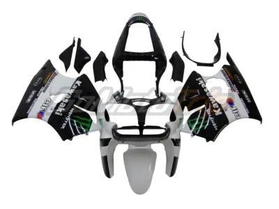 2000-2001-Kawasaki-Ninja-ZX-6R-White-ZX-RR-2009-MotoGP-Livery-Fairing-GS