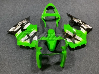 2002 Kawasaki Ninja Zx 6r Fairing Kit 1