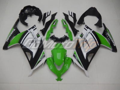 2015 Kawasaki Ninja 300 30th Anniversary Fairing 1