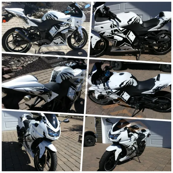 Ninja 250R Star Flame Fairing