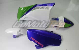 Kawasaki Ninja 300 Tricolor Race Bodywork 2