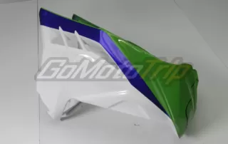 Kawasaki Ninja 300 Tricolor Race Bodywork 4