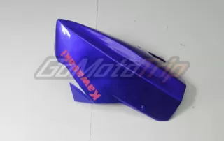 Kawasaki Ninja 300 Tricolor Race Bodywork 7