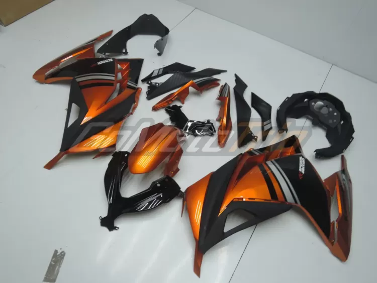 2014 Kawasaki Ninja 300 Special Edition Fairing3 2