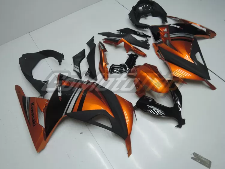 2014 Kawasaki Ninja 300 Special Edition Fairing3 3