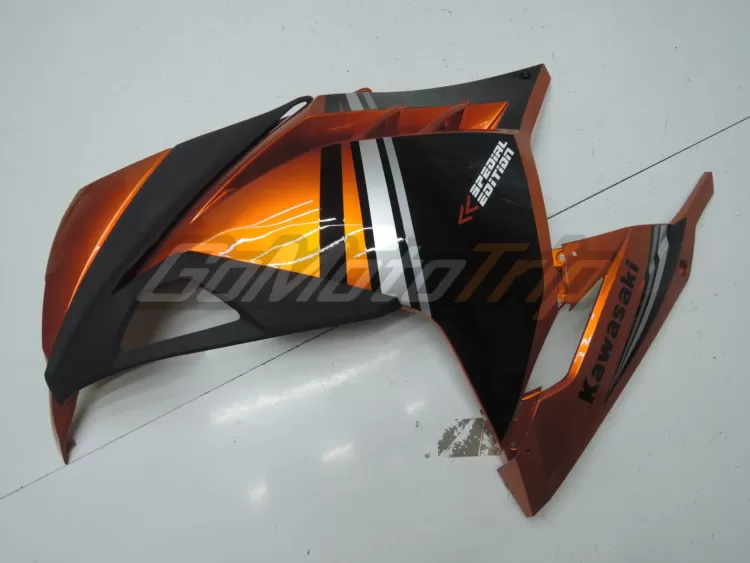 2014 Kawasaki Ninja 300 Special Edition Fairing3 6