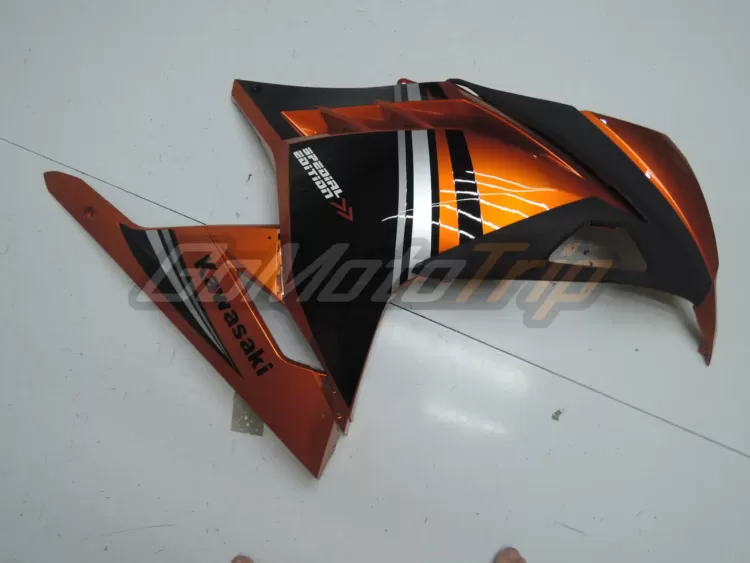 2014 Kawasaki Ninja 300 Special Edition Fairing3 7