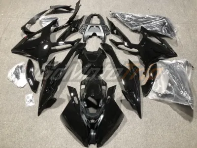 2019-2021-BMW-S1000RR-Black-Fairing-1