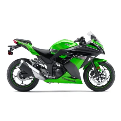 Ninja 300 Fairing