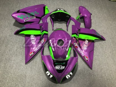 Kawasaki Ninja 300 Evangelion Race Bodywork 1