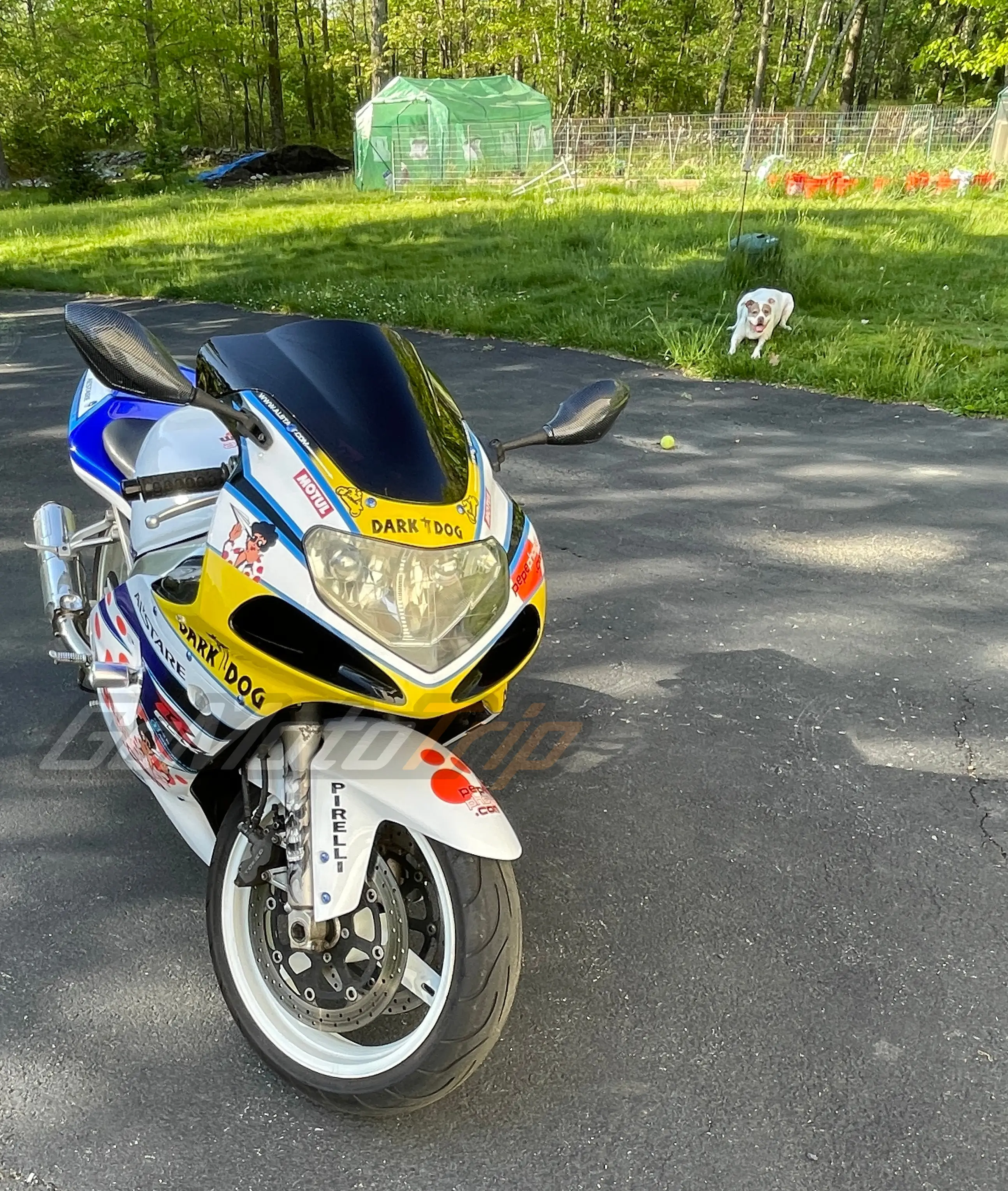 Rider-Review-133306-Jonathan-Suzuki-K1-K2-Alstare-PepePhone-Fairing-6