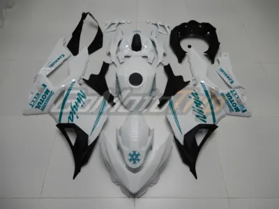 Kawasaki Ninja 400 Winter Edition Fairing2 1