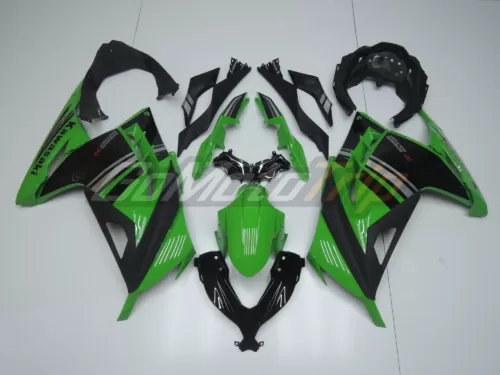 2014 Kawasaki Ninja 300 Special Edition Fairing2 1