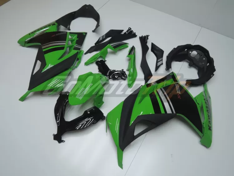 2014 Kawasaki Ninja 300 Special Edition Fairing2 2