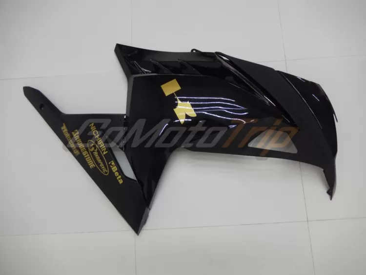 Ninja 300 Black Fairing2 10