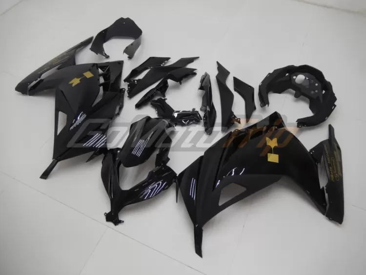 Ninja 300 Black Fairing2 2