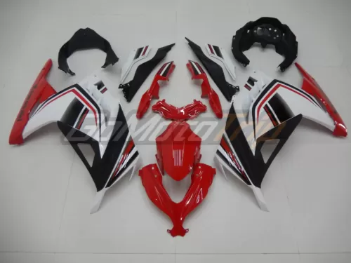 Ninja 300 Tricolor Fairing 1