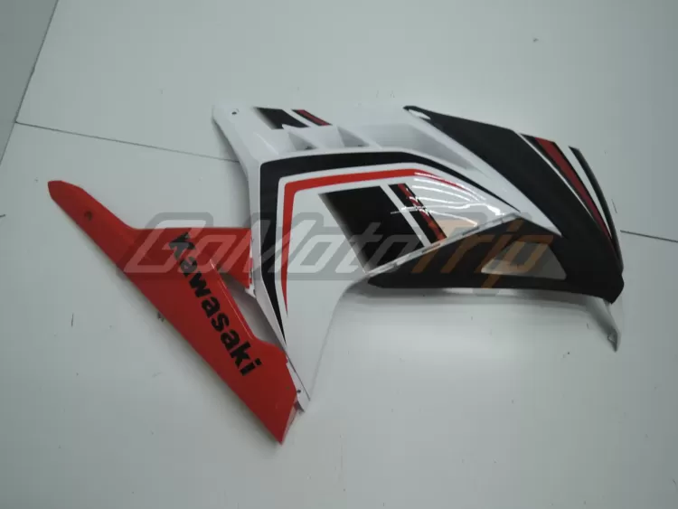 Ninja 300 Tricolor Fairing 11