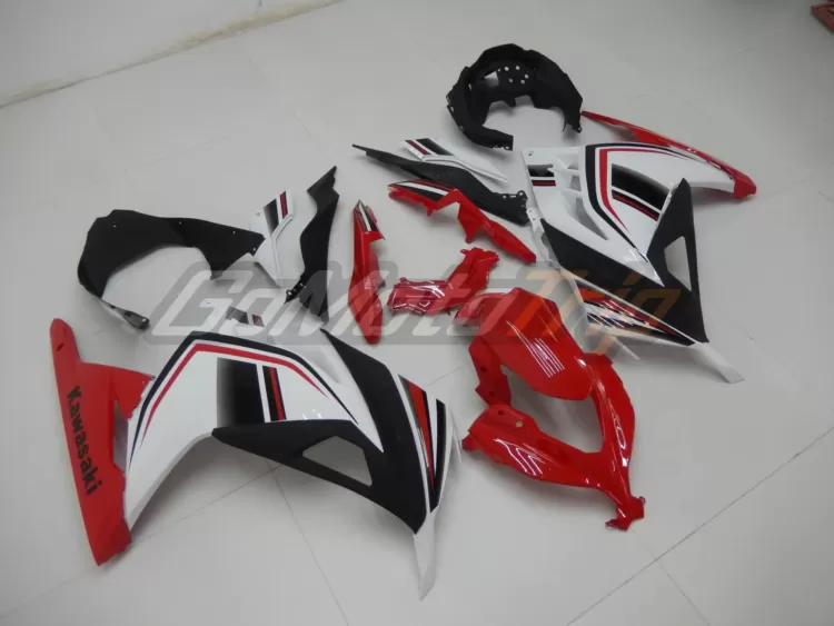 Ninja 300 Tricolor Fairing 3